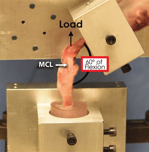 biomechanics testing machine for knee bending|MTS Biomechanic Test Systems.